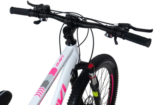 bicicleta mtb davi bonita 26