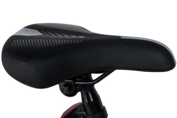 bicicleta copii davi bonita 24